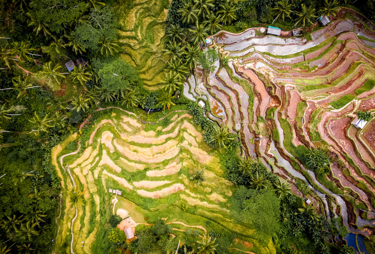 Indonesia from the clouds